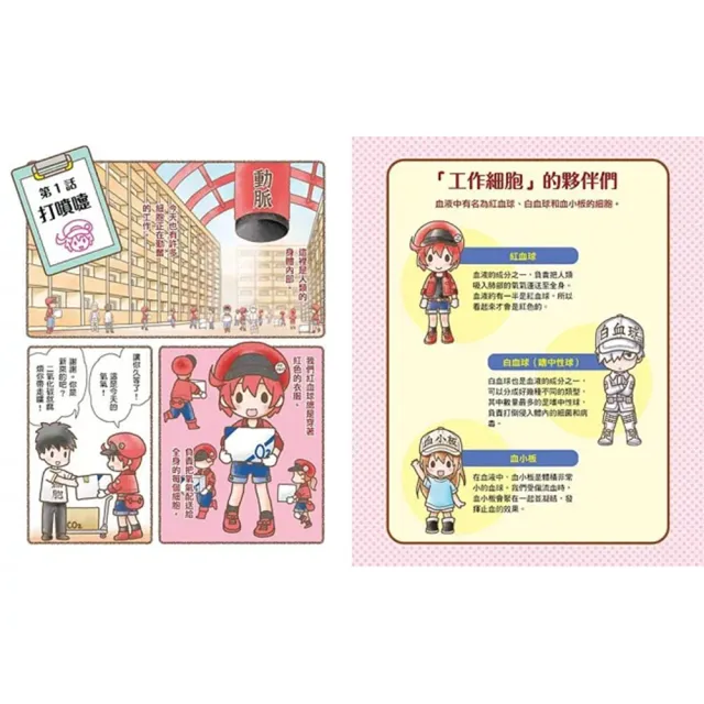 【小熊出版】小學生的最愛《工作細胞繪本+圖鑑》（共8冊）