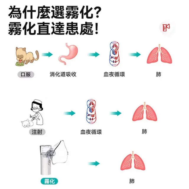 寵物霧化機 寵物加濕器 寵物噴霧器 貓咪霧化器（充電款）(多擋可調/靜音霧化/貓狗通用)