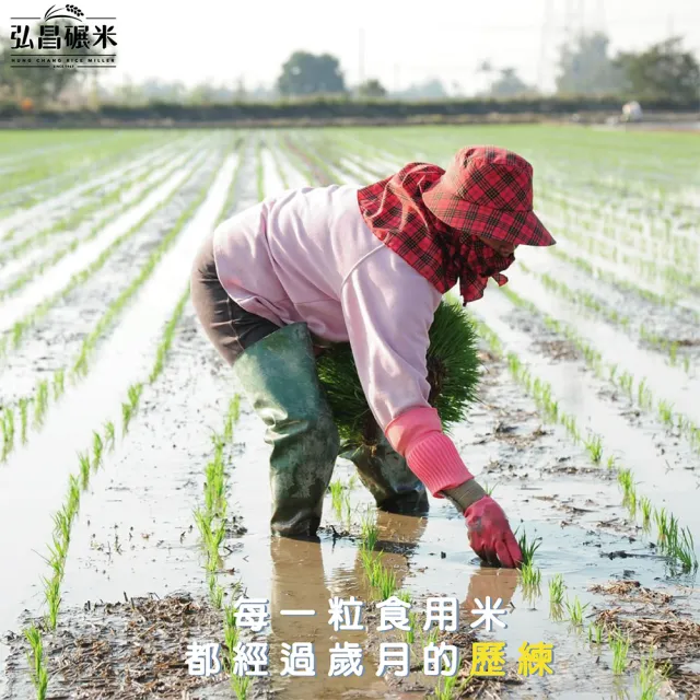 【弘昌碾米】台灣越光米 台南16號-1kg(CNS一等米)