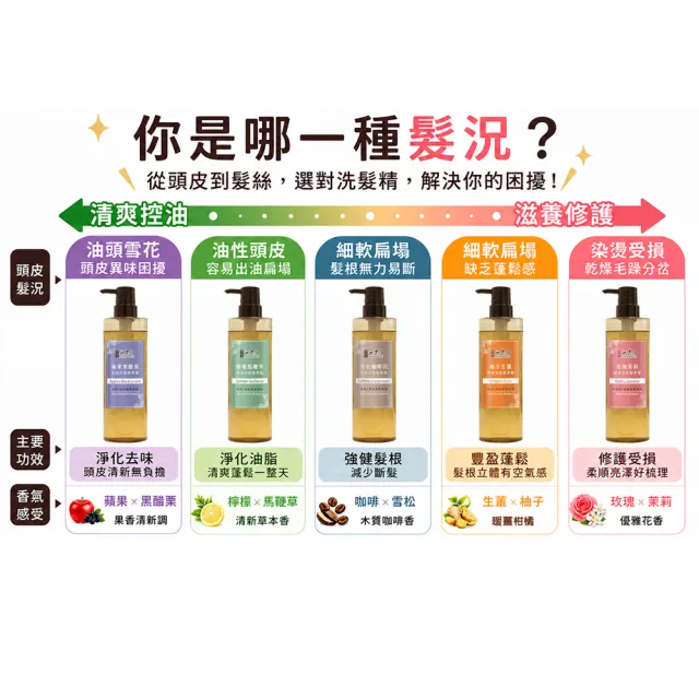 【古寶無患子】成分升級新上市-無矽靈洗髮精露530g