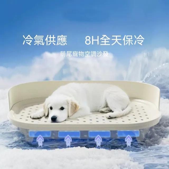 | BALIMAN情報局 【2026】狗狗涼墊推薦10款高評價人氣品牌排行榜 | BALIMAN情報局