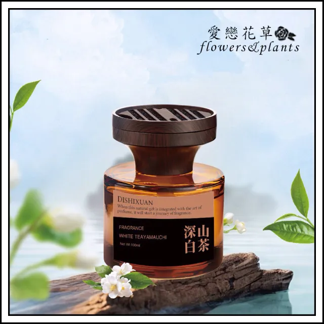 | BALIMAN情報局 【2026】淡香精推薦ptt》10款高評價人氣品牌排行榜 | BALIMAN情報局