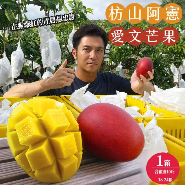 【2026】蘋果禮盒推薦ptt》10款高評價人氣品牌排行榜 | BALIMAN情報局