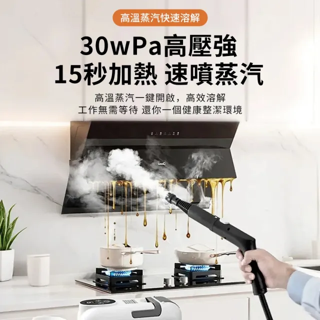 【Felsted 菲仕德】蒸汽清洗機 高溫清洗機 冷氣清洗機 高壓蒸氣清潔 廚房油污清潔 除蟎/消毒/殺菌