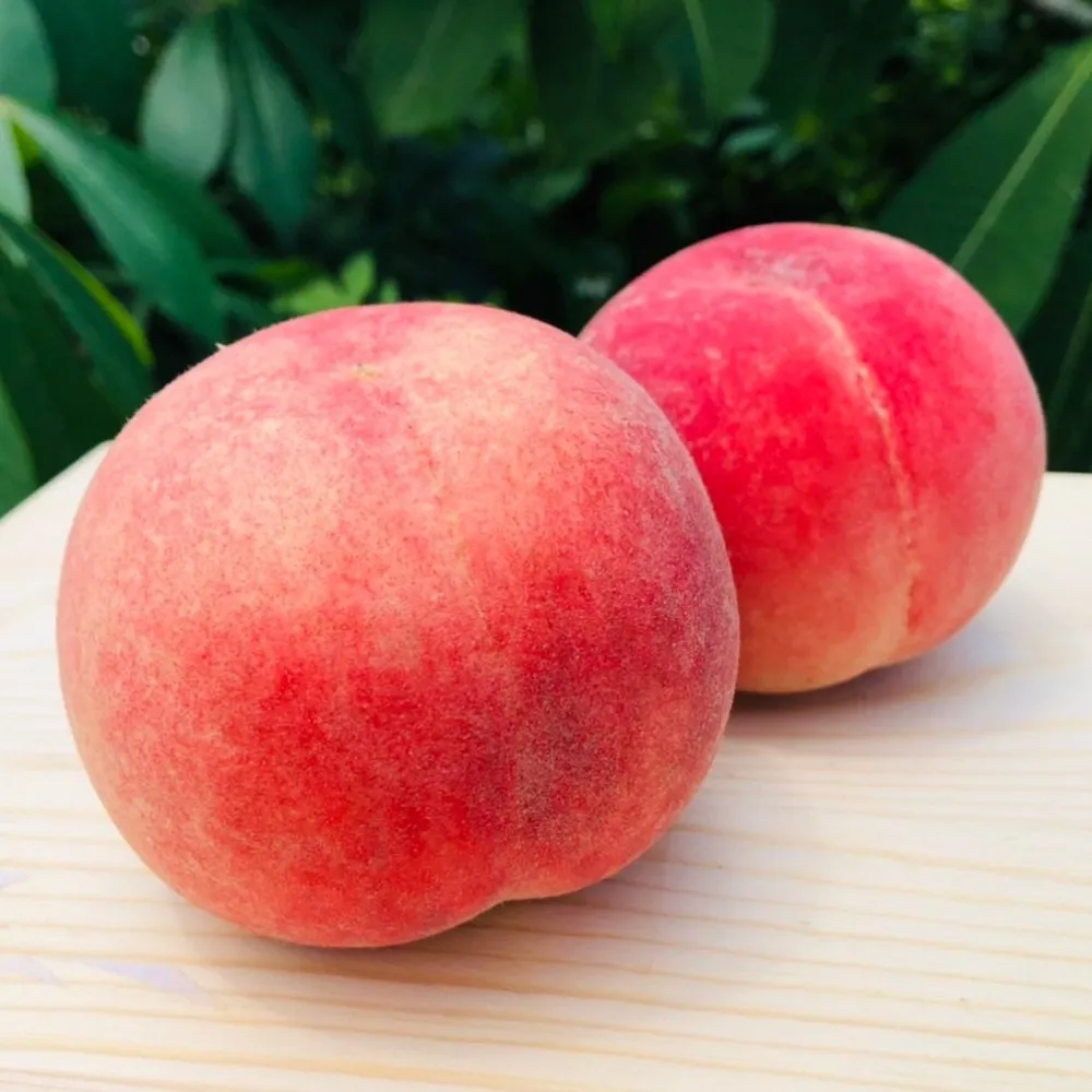 【RealShop 真食材本舖】加州空運水蜜桃約1.3kg x1盒(5-6顆禮盒包裝 水果禮盒)