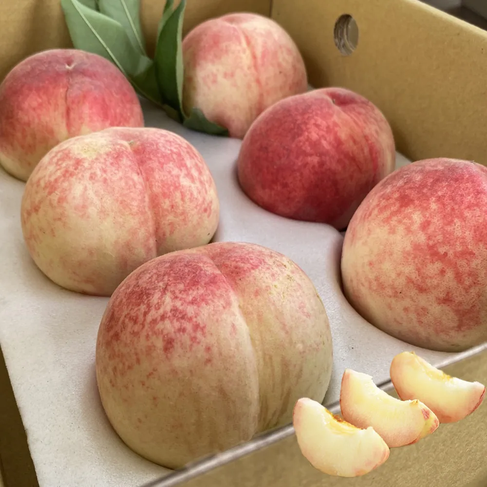 【初品果】拉拉山水蜜桃禮盒6顆x1盒(共6顆_每盒1200g_產地直送_季節限定_企業採購_禮盒)
