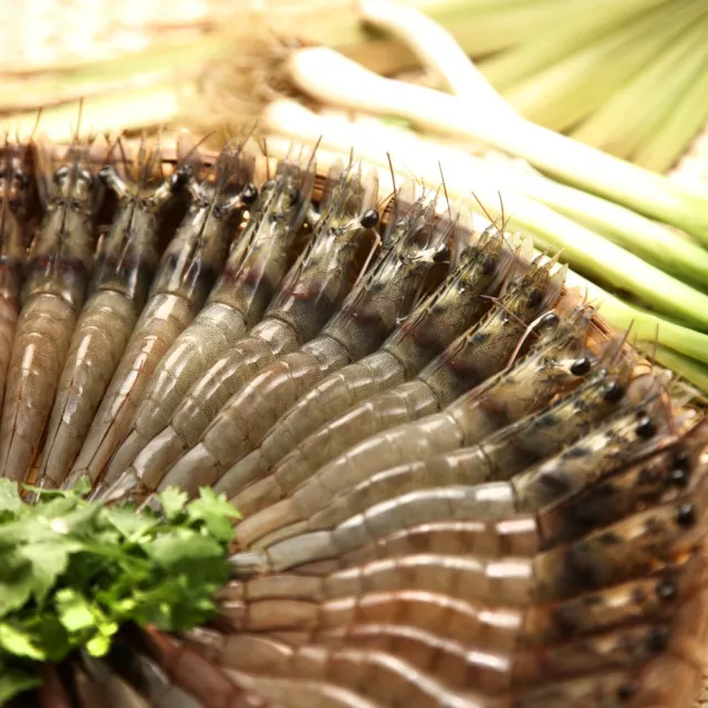 | BALIMAN情報局 【2026】白蝦推薦ptt》10款高評價人氣品牌排行榜 | BALIMAN情報局
