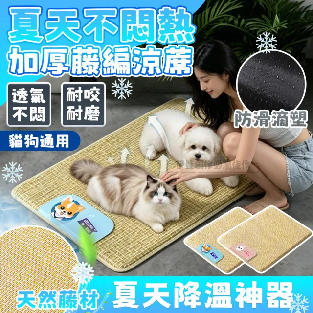 【2026】寵物涼墊推薦｜10款高評價人氣品牌排行榜 | BALIMAN情報局