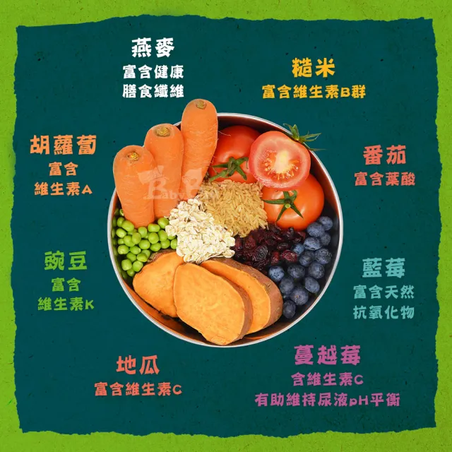 【Benevo 倍樂福】英國素食認證 犬貓主食罐頭 354G*2罐(素食狗罐 素食貓罐 純素 班尼佛)