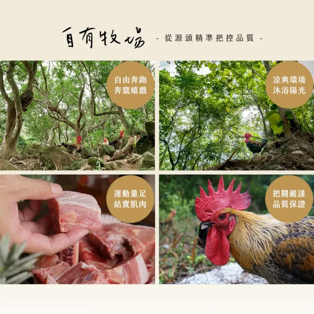 【大野山牧場】山野豚 豬大骨(600g - 高雄在地飼養)