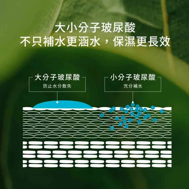 【greenvines 綠藤生機】12種天然成分★純粹保濕精華液30ml(2入組/玻尿酸/深層保濕/敏感肌適用)