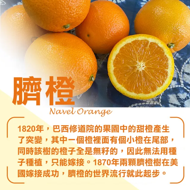 【甜露露】美國臍橙10斤x1箱(每盒32-38顆)