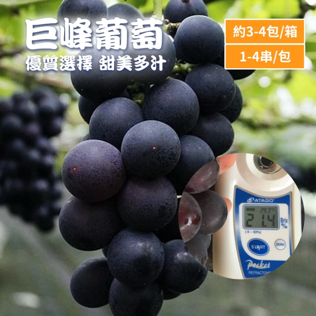 葡萄
