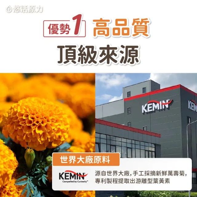 【悠活原力】全新升級 金盞花萃取葉黃素+紅藻萃取蝦紅素 複方軟膠囊(30mg/粒 30粒/瓶 升級版)