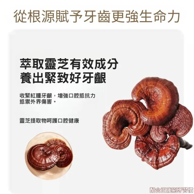 【iBloom】仁芝漢芳靈芝牙膏 120g 8入組