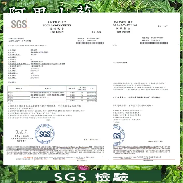 阿里山薊茶包X2盒/雞角刺茶包/20包/盒(台灣原生種植物阿里山薊茶包)