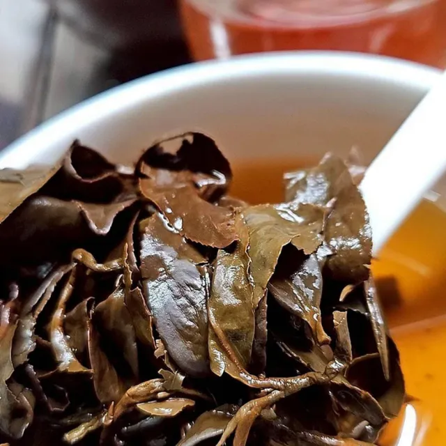 【Funbodhi 方菩提】GABA茶 龍韻甘露 3克 茶包3gx20包x1袋 (阿里山產區、台灣茶、機能茶)