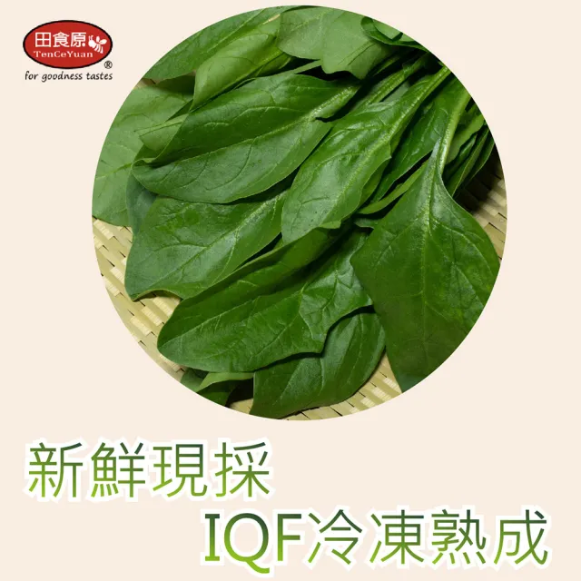 【田食原】IQF新鮮冷凍菠菜450gX12包(加熱即食 冷凍蔬菜 健康減醣 健身餐 低卡 超級食物)