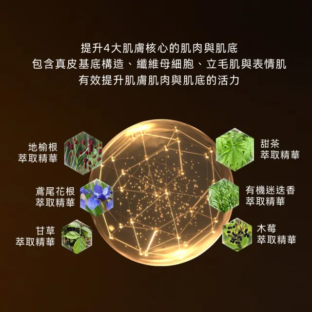 即期品【ELIXIR 怡麗絲爾】膠原緊V澎潤霜雙入組(緊V澎潤霜50g)