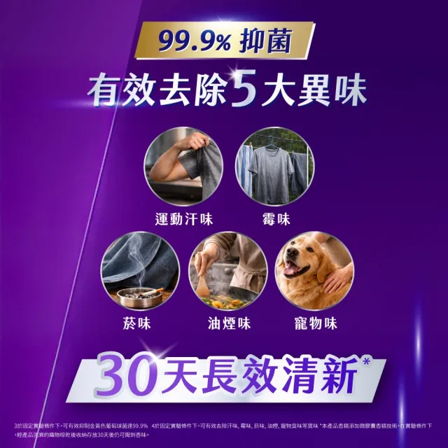 【白蘭】momo獨家組 含熊寶貝馨香洗衣精補充包1.6kgx6+熊寶貝抗皺護型護衣精補充包910gx2