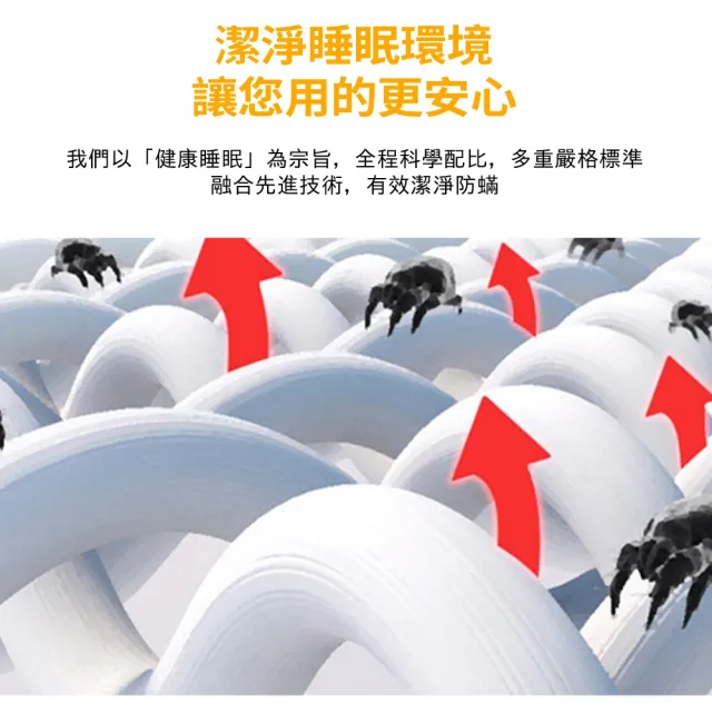 【星治】（100*200）床墊 椰棕床墊 護腰型硬床墊 可折疊床墊 預計10工作天送達(4cm枕芯 一體式不可折疊)