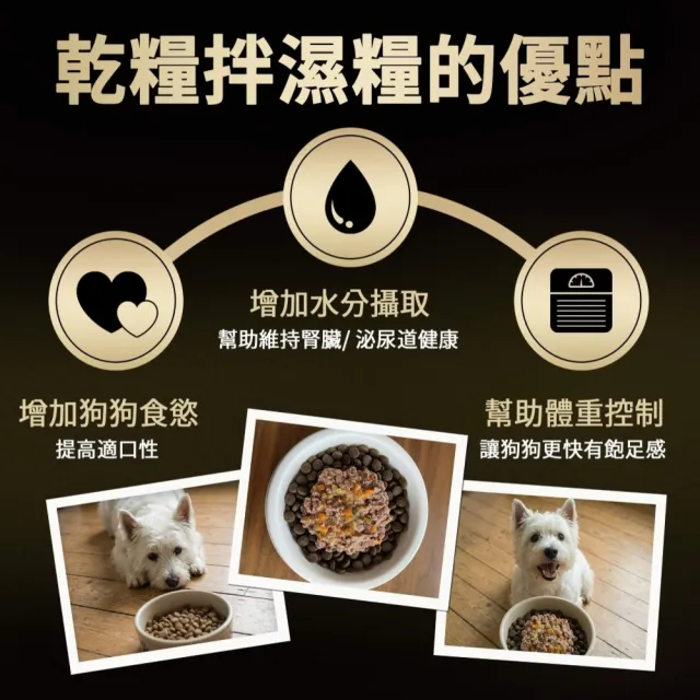 【Cesar 西莎】精緻風味/真饌燉肉 餐盒 綜合口味 100g*36入 網路獨家組
