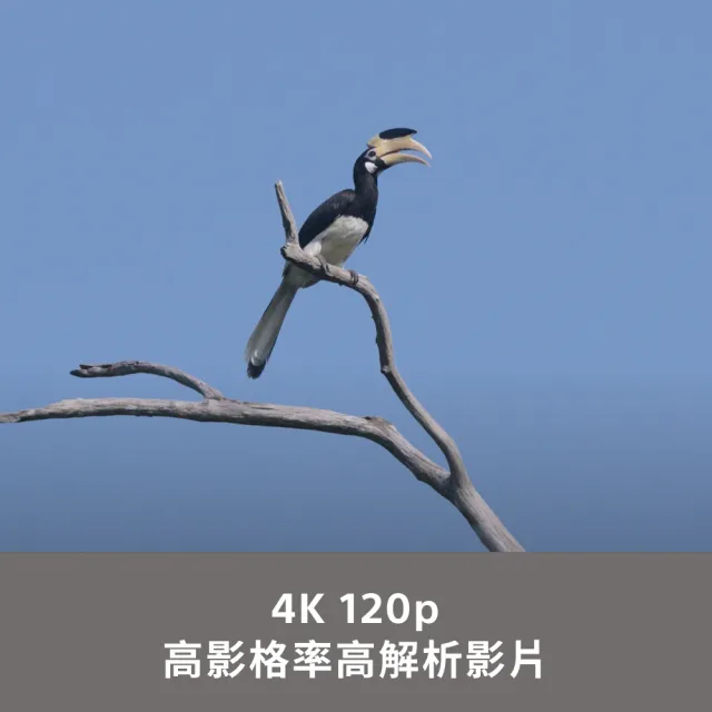 【SONY 索尼】APS-C 數位相機 ILCE-6700K SELP16502 電動變焦鏡組(公司貨 保固18+6個月)