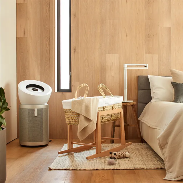 【dyson 戴森】BP02 Purifier Big+Quiet 強效極靜抗敏空氣清淨機(白色及柔霧銀) 超值組