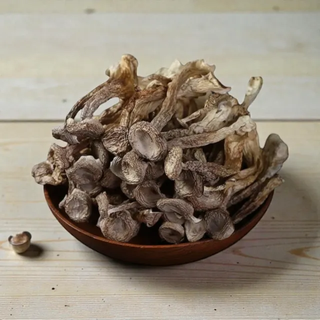 【GAN XIN LIAN PIN 柑心良品】柑心良品-鹿茸菇-8包組(60g*8包)