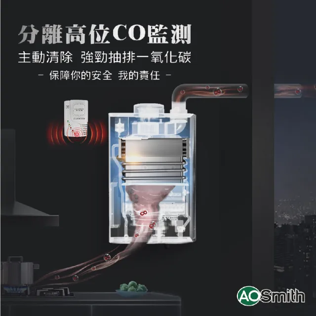 【A.O.Smith】歡慶618活動!不鏽鋼瓦斯熱水器16L 防CO偵測器(JSQ31-ST16T NG1/FE式 含基本安裝 適用天然氣)
