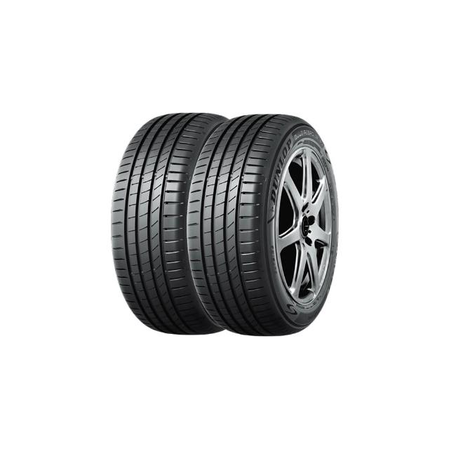 【DUNLOP 登祿普】輪胎 BLUE RESPONSE TG-205/55/17吋_二入組_送安裝(車麗屋)