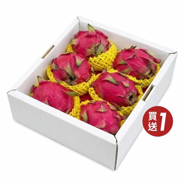【水果達人】產地直送紅肉火龍果5斤x1盒(5-8顆/盒)買一送一 5斤裝 共2盒