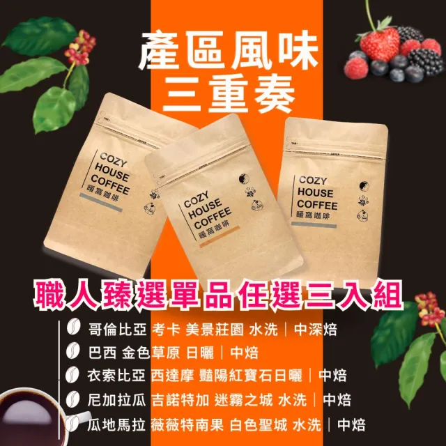 【Cozyhouse 暖窩】衣索比亞|美洲 人氣產區 咖啡杯測師職人臻選單品任選三入組(227g 3包 果香 不酸 濃醇)