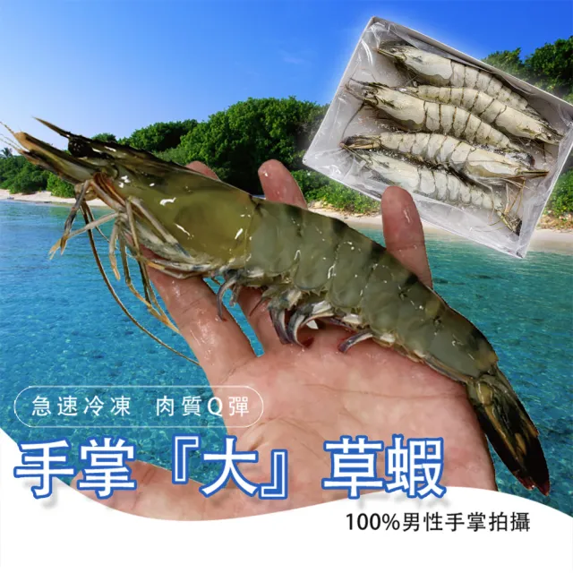 【鮮綠生活】嚴選霸王大草蝦  共3盒(250g±10%/盒 5尾/盒 共15尾)