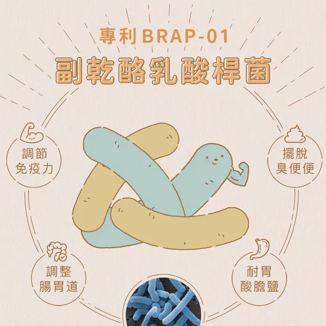 【Abao 阿寶】肚肚派對無穀貓系列-貓吃肉 4kg(挑嘴貓/全齡貓/貓飼料/貓乾糧/無穀貓糧)
