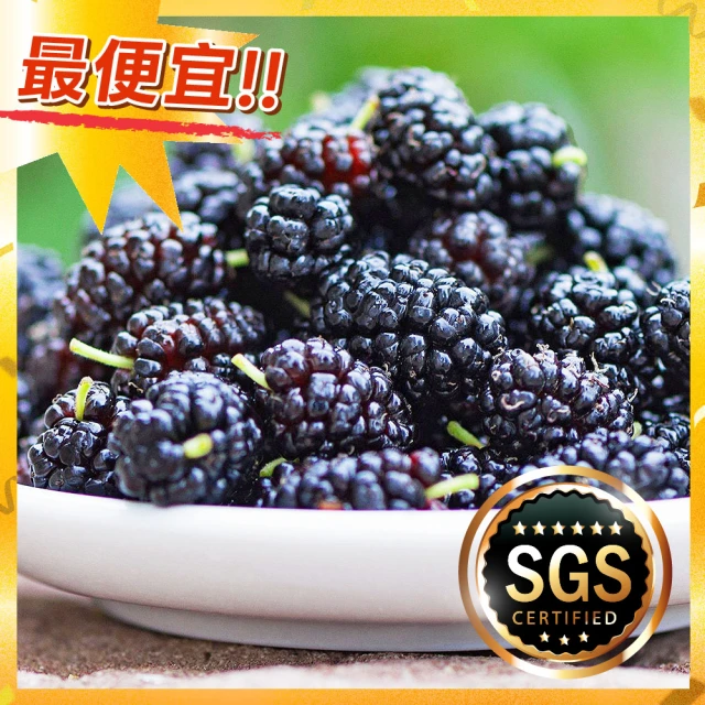 桑椹