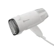 【Electrolux 伊萊克斯】500系列摺疊手持式蒸氣掛燙機(E5HS1-710W/G) 兩色
