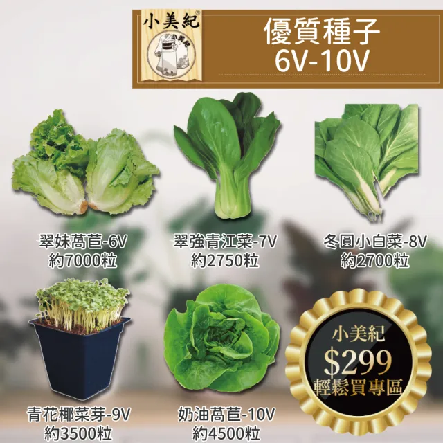 【小美紀】高優質 種子(翠妹萵苣 翠強青江菜 冬圓小白菜 青花椰菜芽 奶油窩苣 南瓜 大陸妹 菜苗)