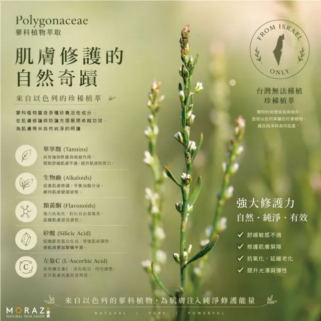 【Moraz 茉娜姿】Moraz 茉娜姿 指甲緣修護精華14ml(專業版PROF)