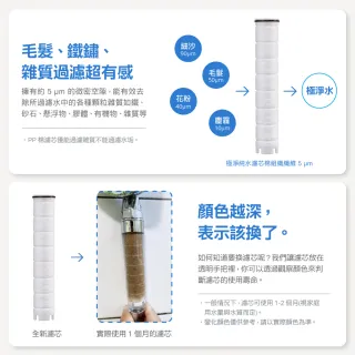 【CAESAR 凱撒衛浴】銀色極淨純水 除氯過濾蓮蓬頭 1 機 12 芯 (超值 1 年份組)