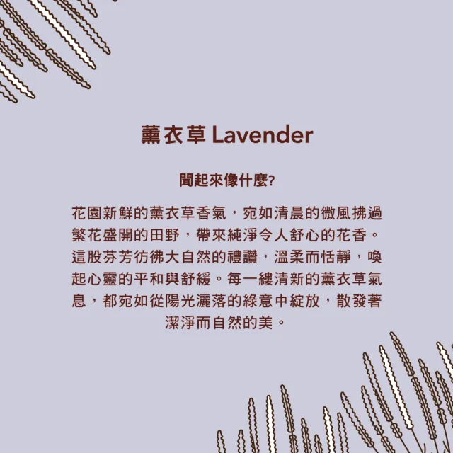 【Mrs.Meyers 梅耶夫人】薰衣草香氛洗手乳補充瓶975mlx6(靜謐 讓心靈回到寧靜 無聲的守護)