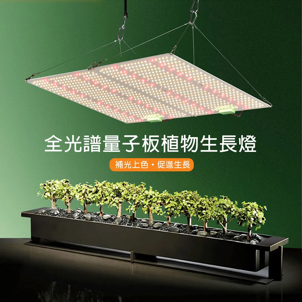 【LADUTA 拉布塔】120W全光譜量子板 植物生長燈 無極調光 高光效LED 多肉補光