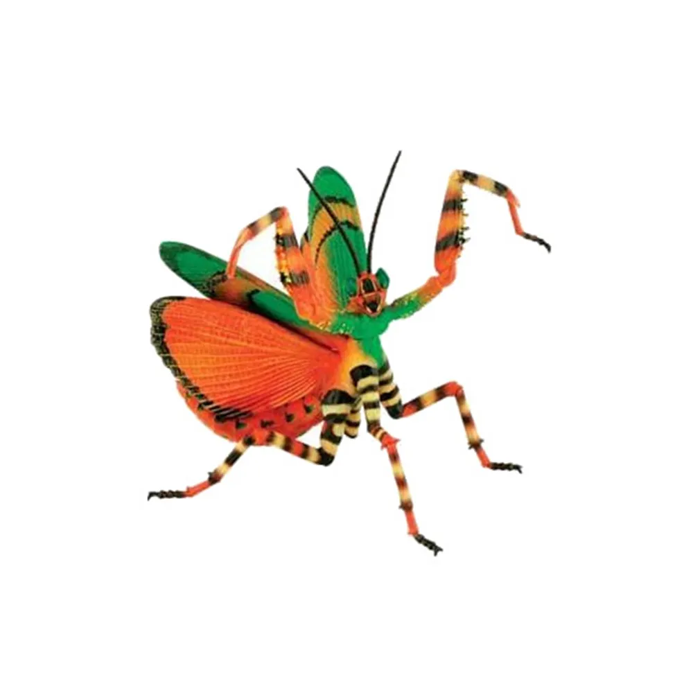 【4D  MASTER】昆蟲系列-魔花螳螂FLOWER MANTIS