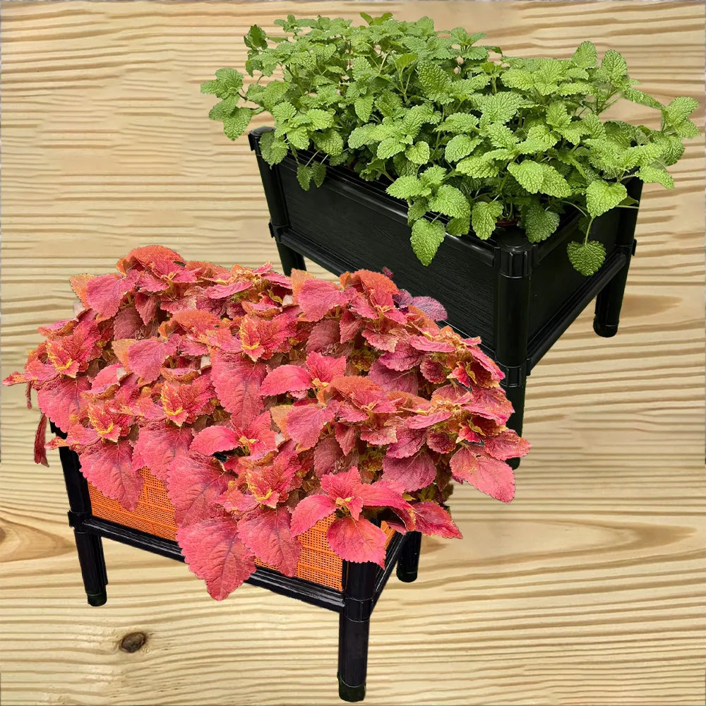 【田園樂】育材單層架高一節種植箱(45*30*32cm)(組合式種植箱種菜箱/籃耕離地栽培/2入一組)