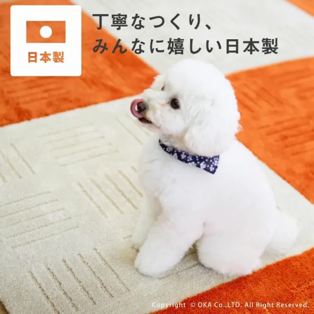【fujidinos】日本Oka Pita Plus吸水防滑拼接地墊45×60cm(2枚組/厚度約10mm)