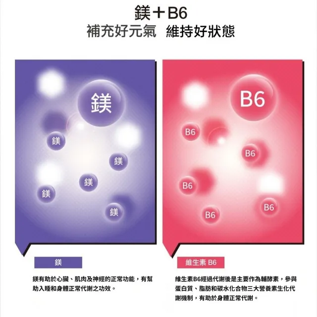 【SUNLIFE 森萊富】德國原裝  鎂Mg+B6維他命發泡錠(橘子口味 X 1入/共20錠)