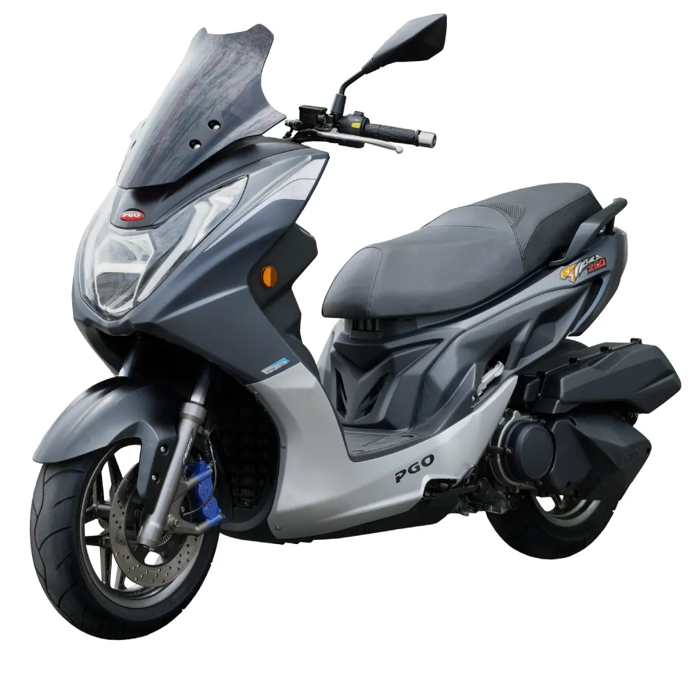 【PGO】TIGRA 250 ABS 2025(彪虎/黃牌重機/重型機車)