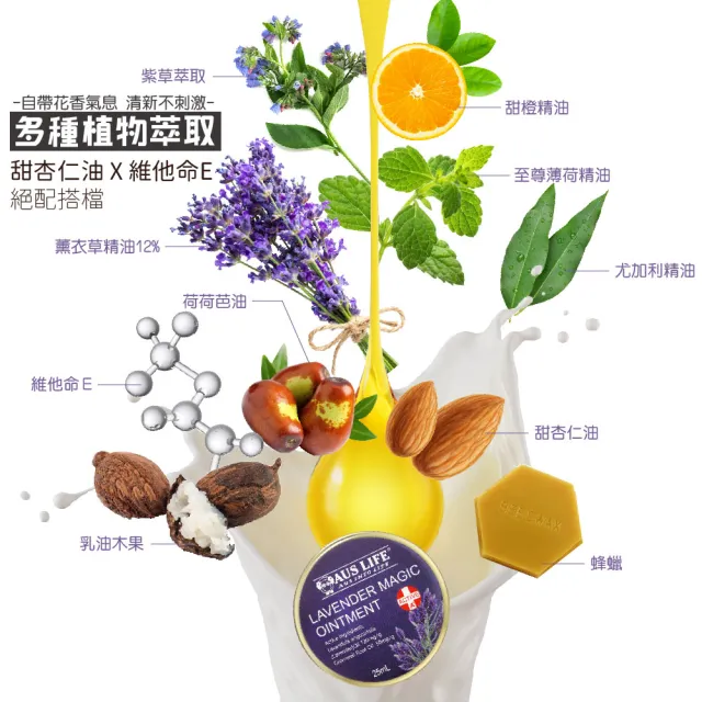 【AUS LIFE 澳思萊】薰衣紫草舒緩膏25mlX2入組(隨身必備不可或缺的薰衣紫草舒緩膏)