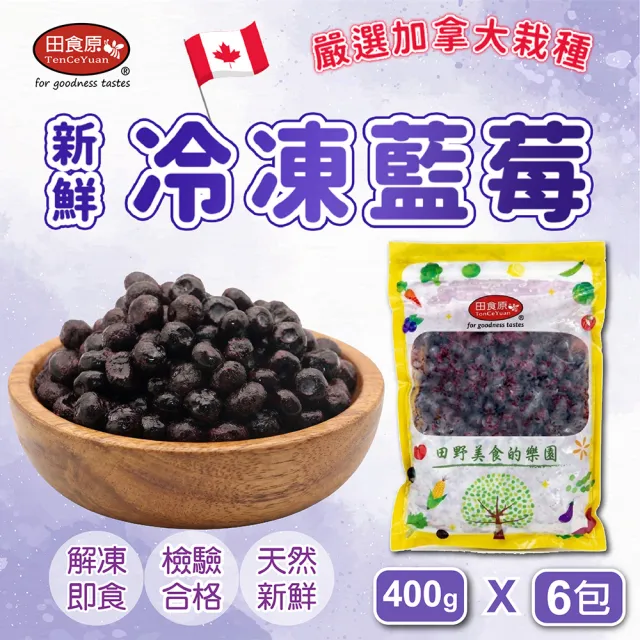 【田食原】「容量新升級」加拿大A級冷凍藍莓400gX6包( 無防腐劑 重金屬/農藥檢 解凍即食)