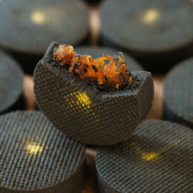 申皇｜芝麻醬專賣店 頂級黑金鳳梨酥12入(黑月禮盒)